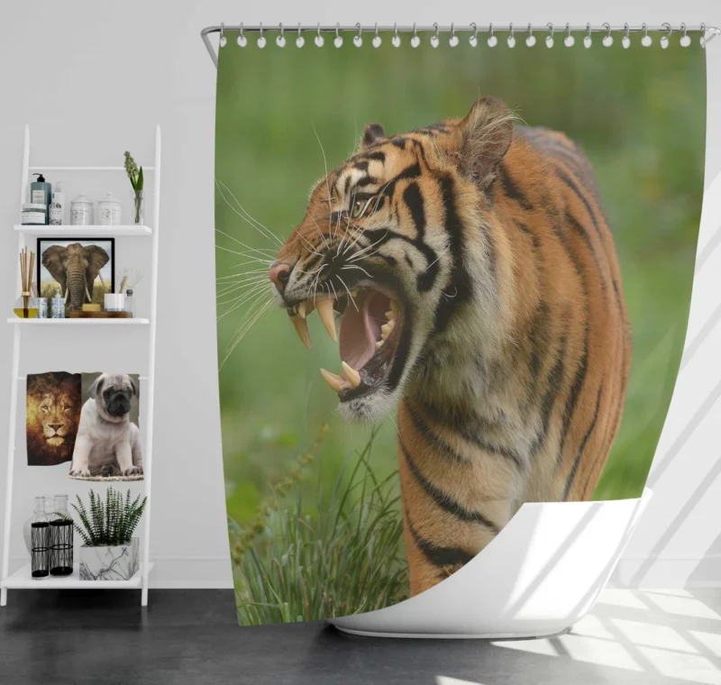 Tiger Roar Wilderness Dominance Shower Curtain