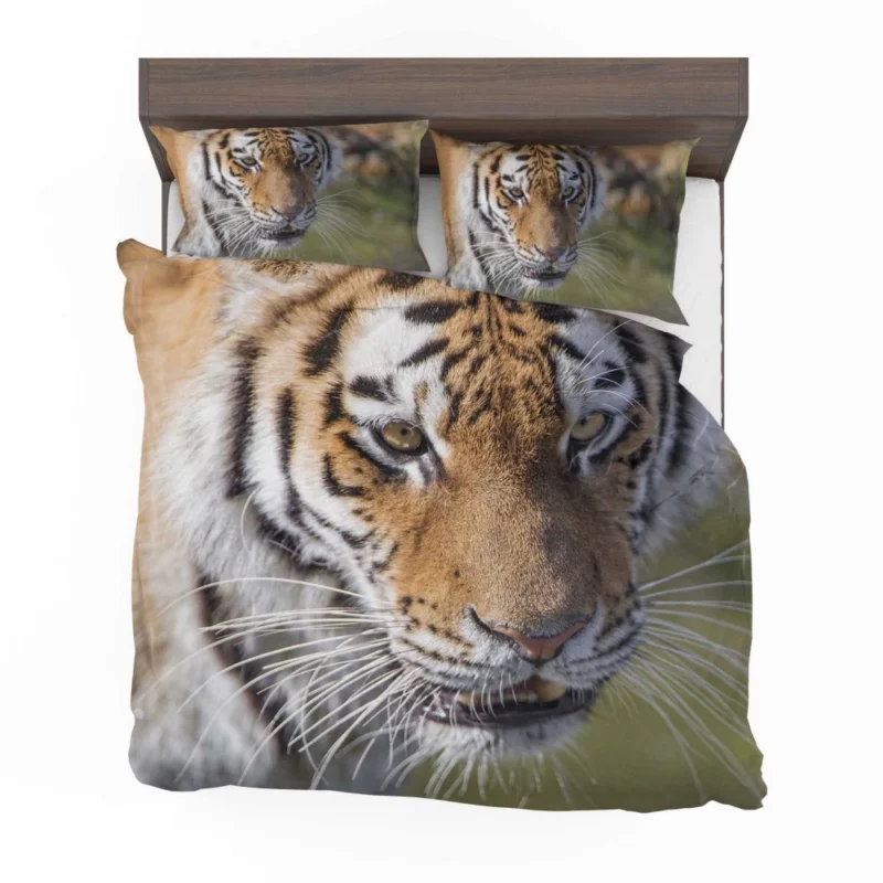 Tiger Roar and Power Bedding Set 1