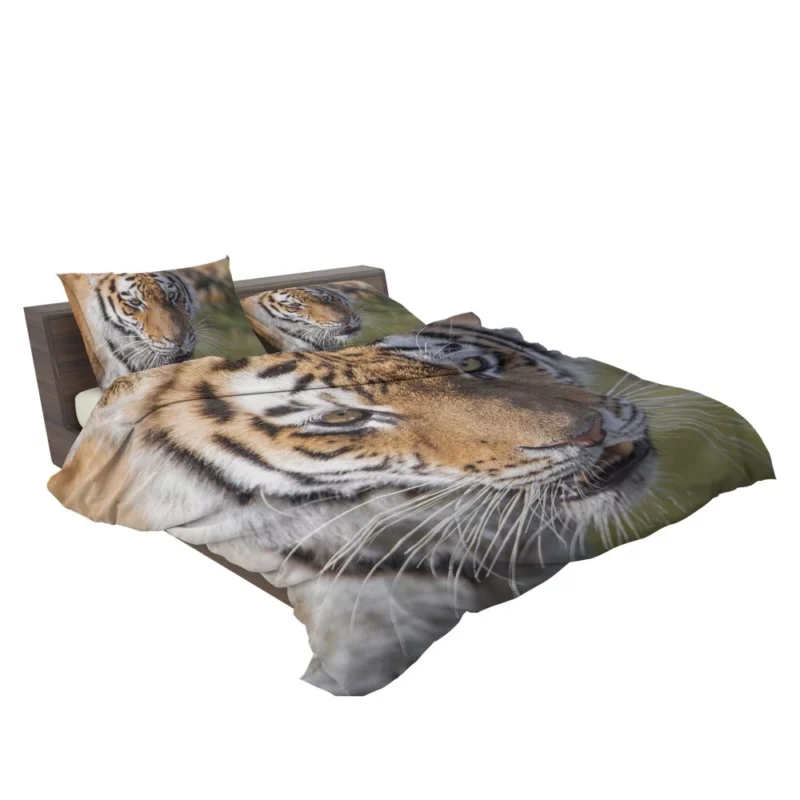 Tiger Roar and Power Bedding Set 2