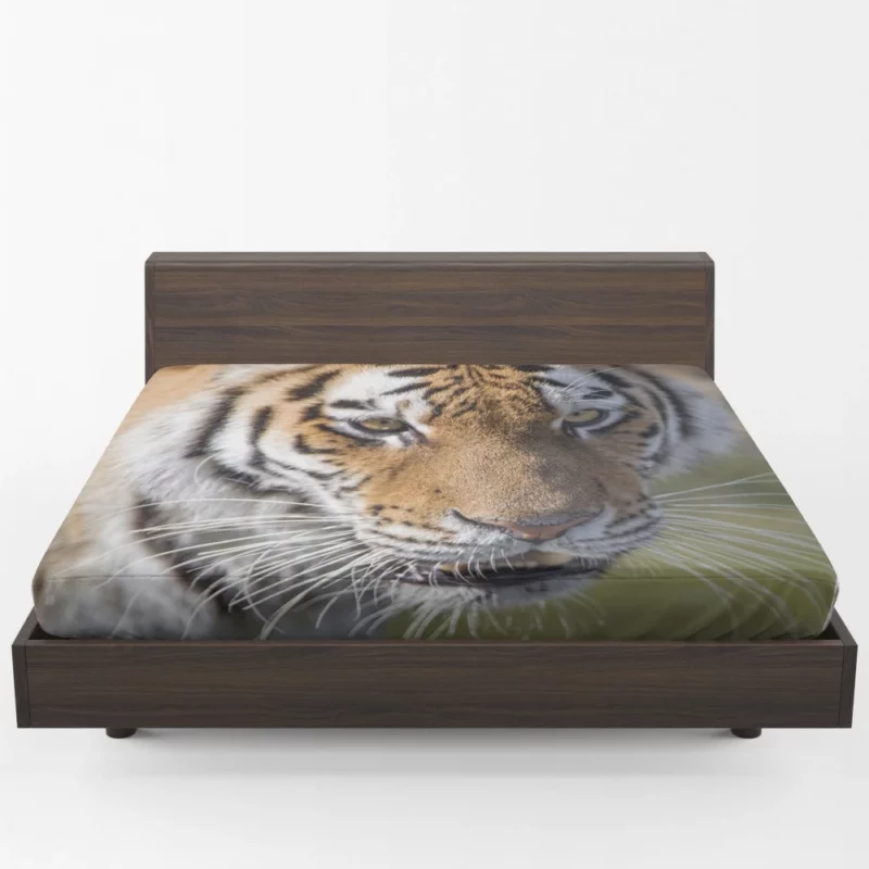 Tiger Roar and Power Fitted Sheet