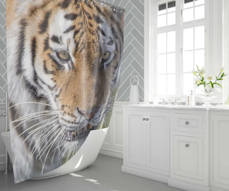 Tiger Roar and Power Shower Curtain 1