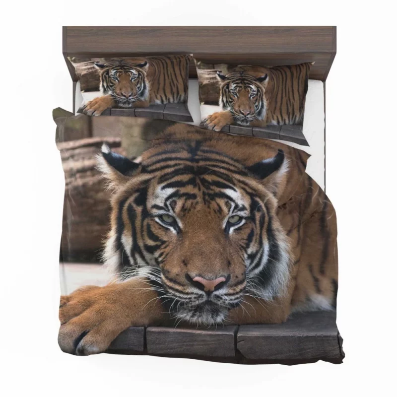 Tiger Savage Bedding Set 1