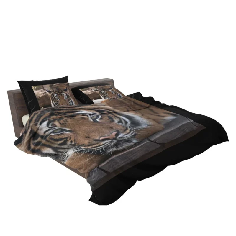 Tiger Savage Bedding Set 2