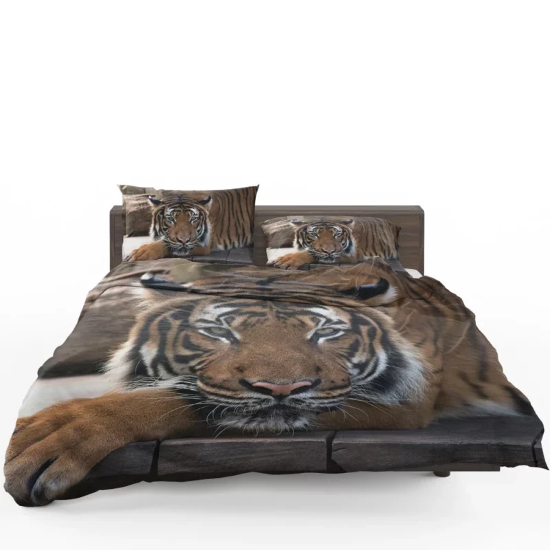 Tiger Savage Bedding Set