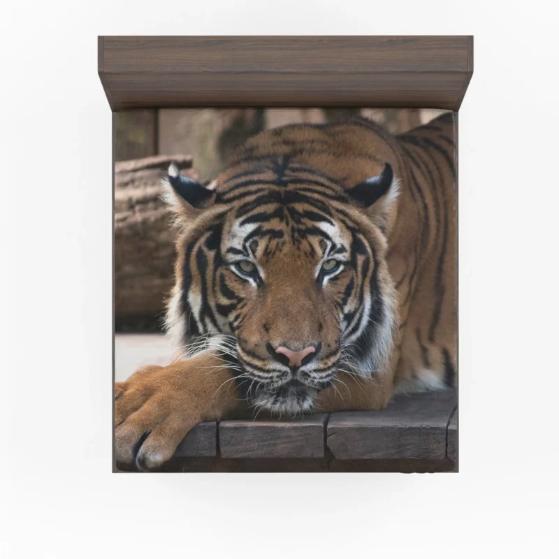 Tiger Savage Fitted Sheet 1