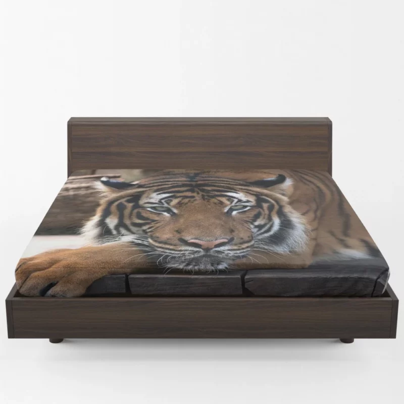 Tiger Savage Fitted Sheet