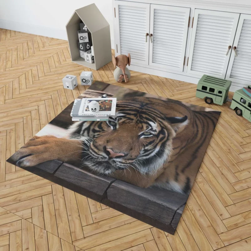 Tiger Savage Rug 1