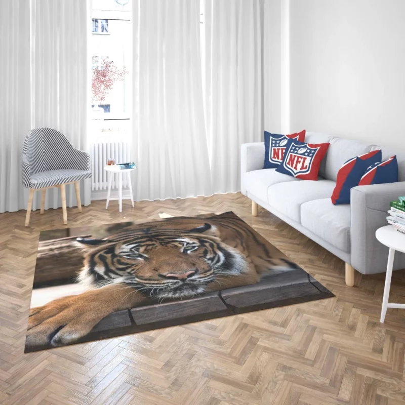 Tiger Savage Rug 2