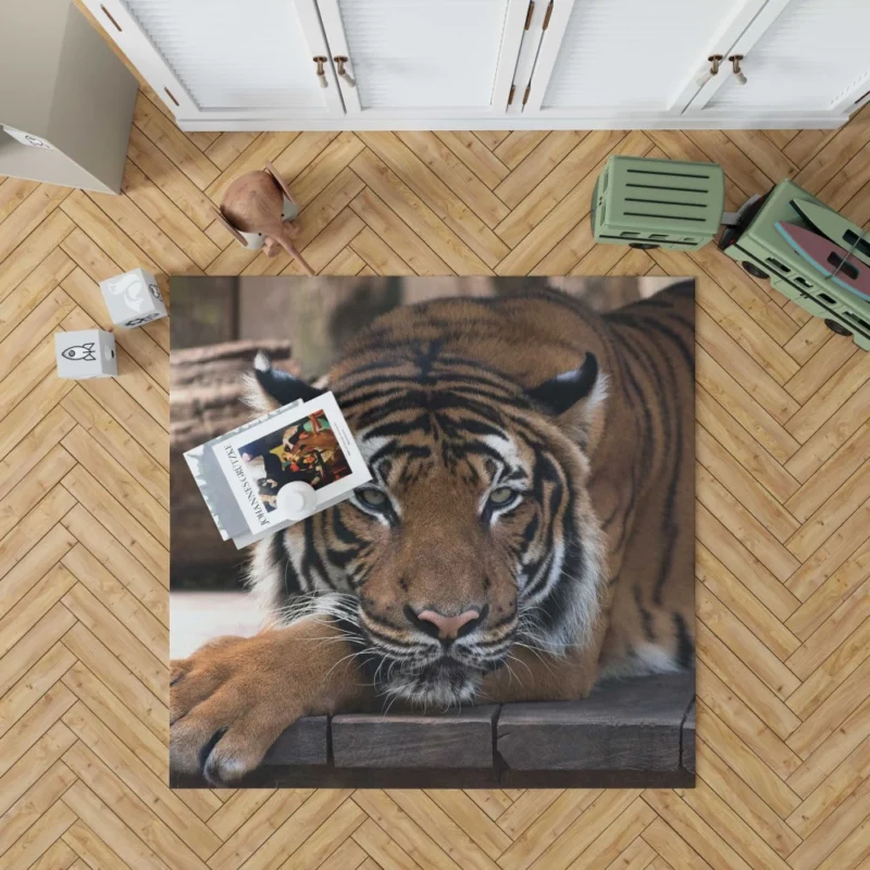 Tiger Savage Rug