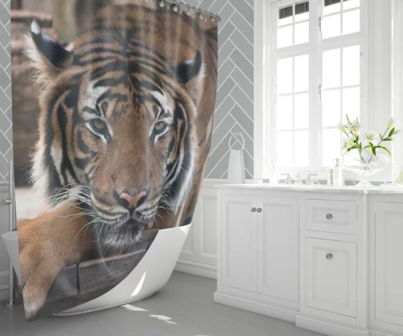 Tiger Savage Shower Curtain 1