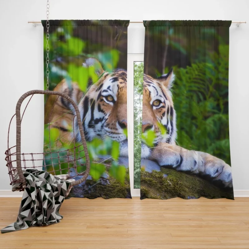 Tiger Serene Rest Wilderness Majesty Curtain