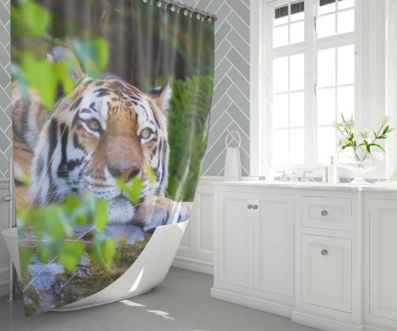 Tiger Serene Rest Wilderness Majesty Shower Curtain 1