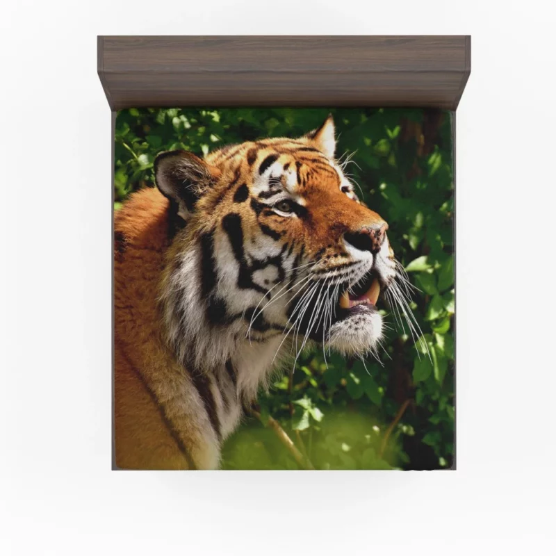 Tiger Stare Amidst Wilderness Fitted Sheet 1