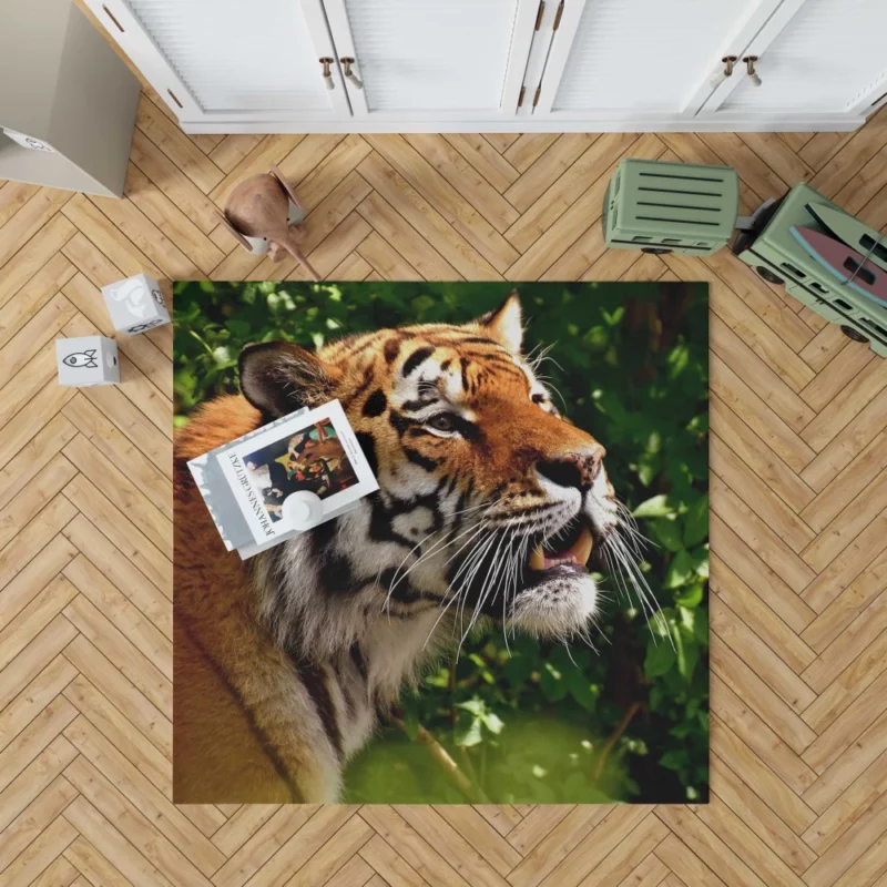 Tiger Stare Amidst Wilderness Rug