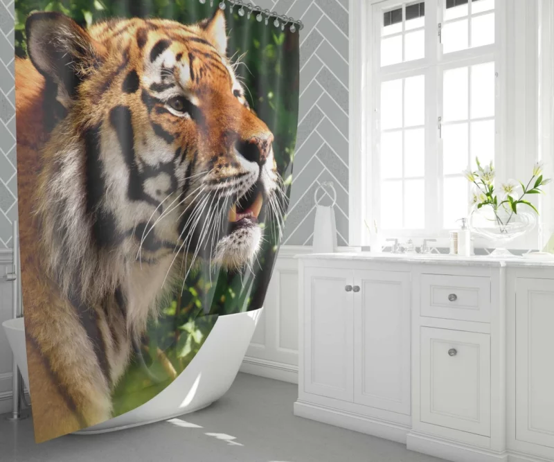 Tiger Stare Amidst Wilderness Shower Curtain 1