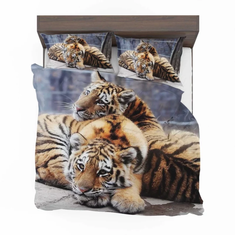 Tiger Stare Ferocious Bedding Set 1