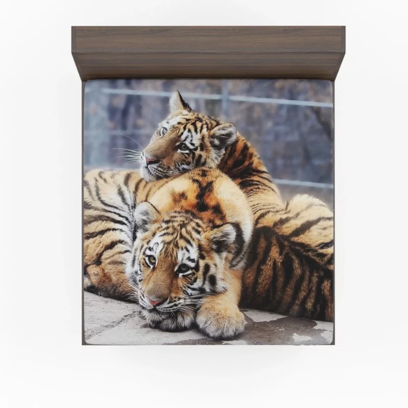 Tiger Stare Ferocious Fitted Sheet 1