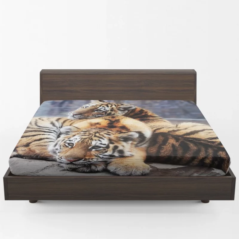 Tiger Stare Ferocious Fitted Sheet