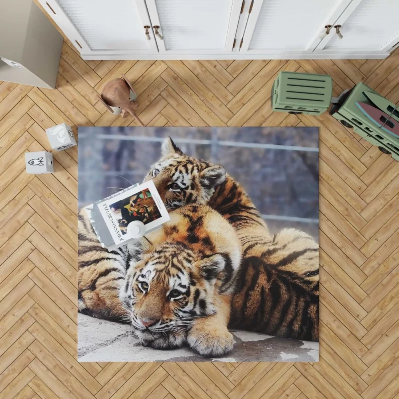 Tiger Stare Ferocious Rug