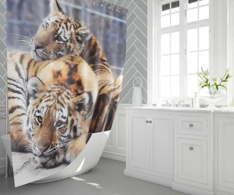 Tiger Stare Ferocious Shower Curtain 1