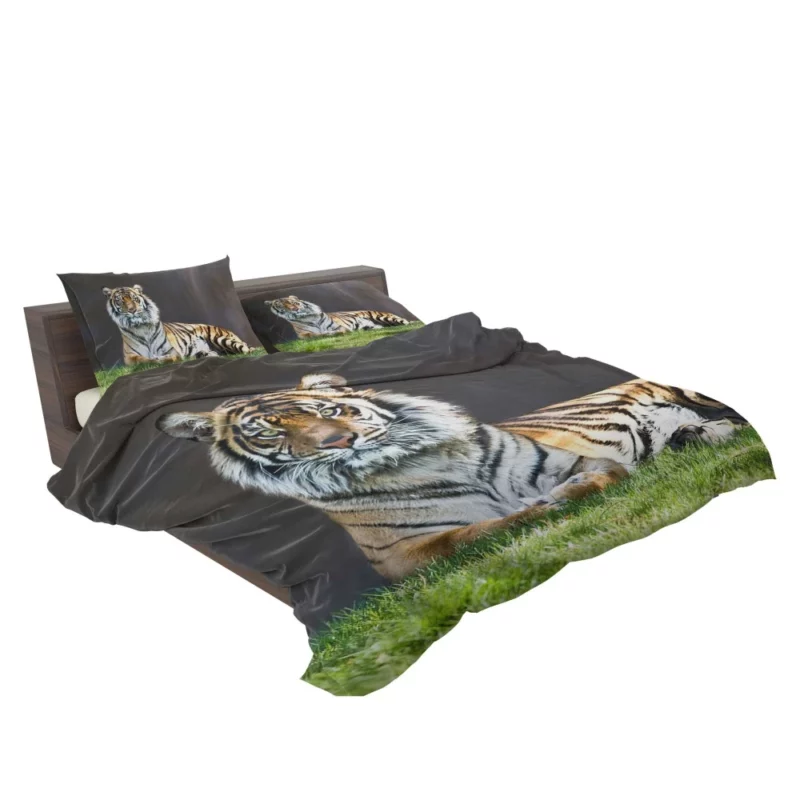 Tiger Stare Wild Animal Bedding Set 2