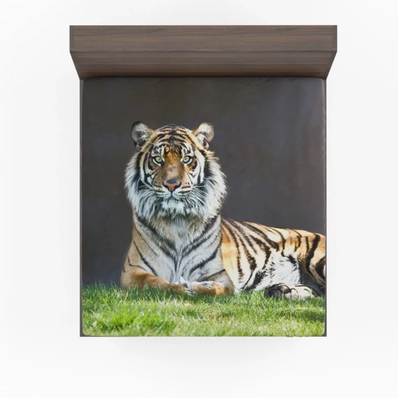 Tiger Stare Wild Animal Fitted Sheet 1