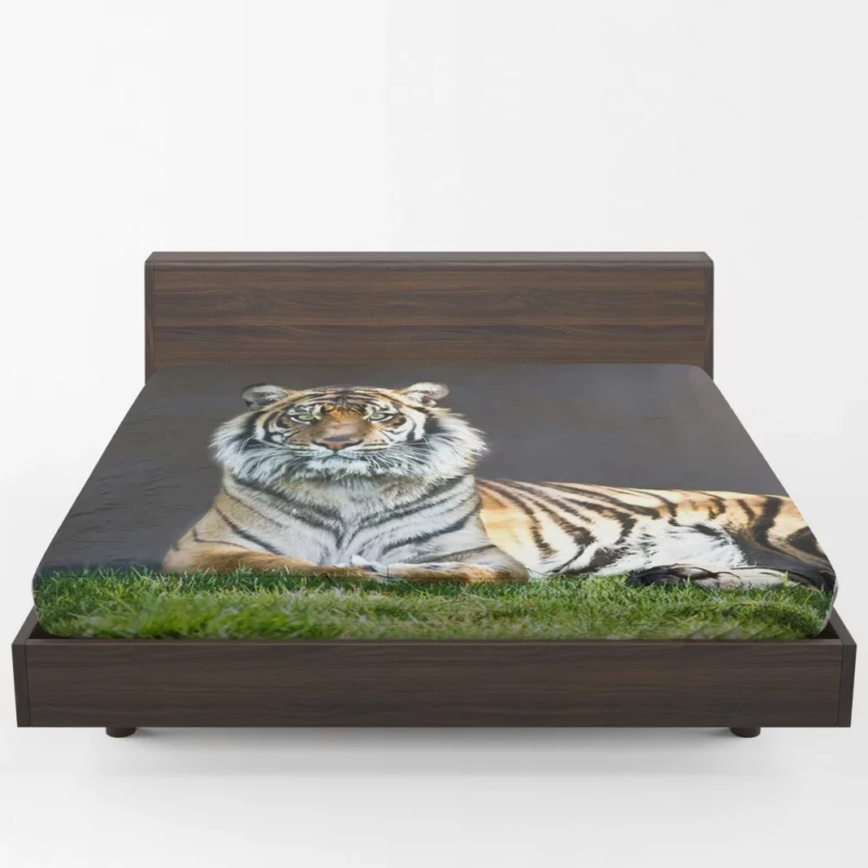 Tiger Stare Wild Animal Fitted Sheet