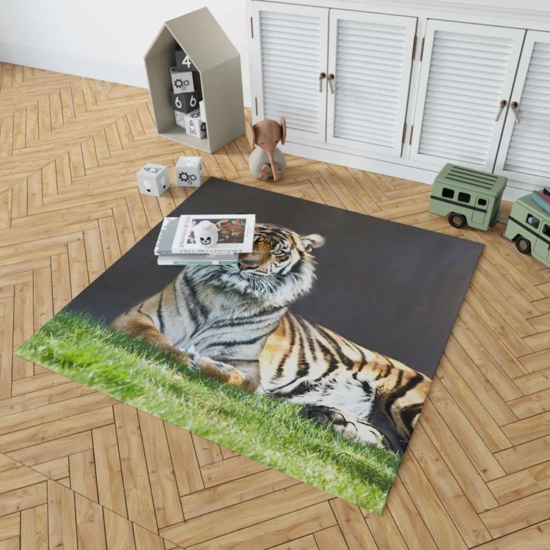 Tiger Stare Wild Animal Rug 1