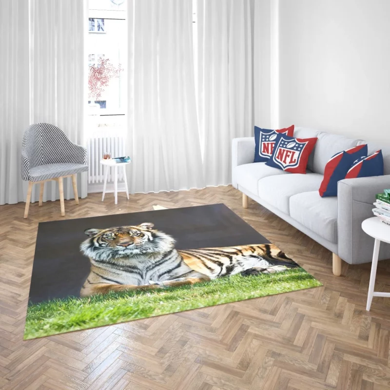 Tiger Stare Wild Animal Rug 2