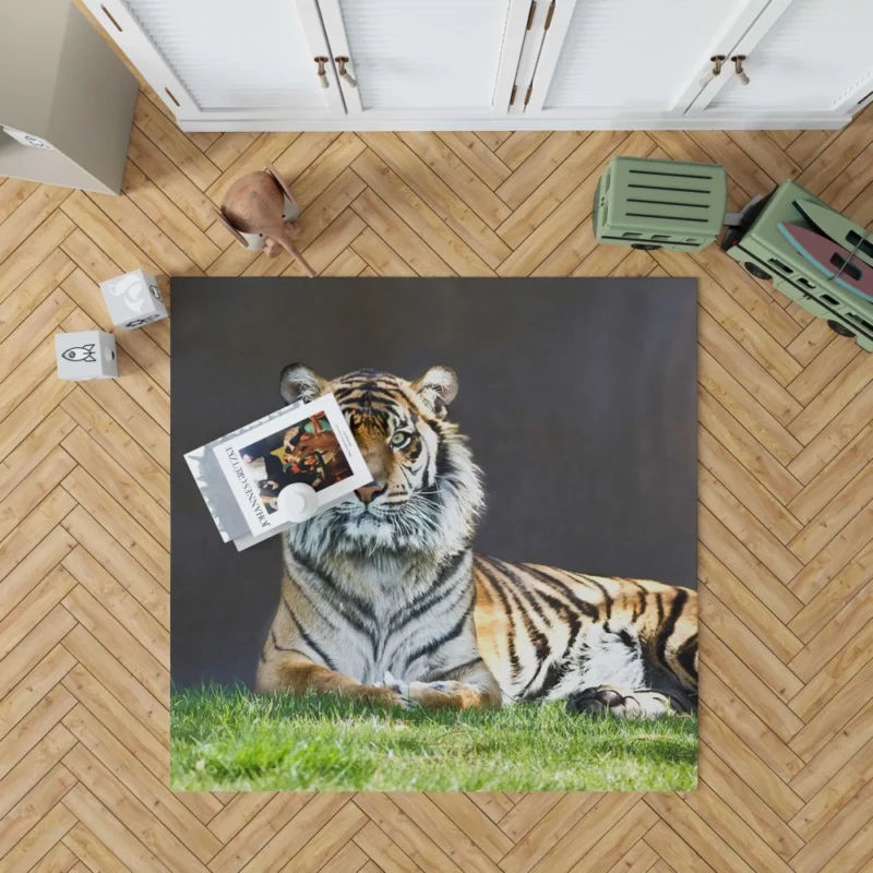 Tiger Stare Wild Animal Rug