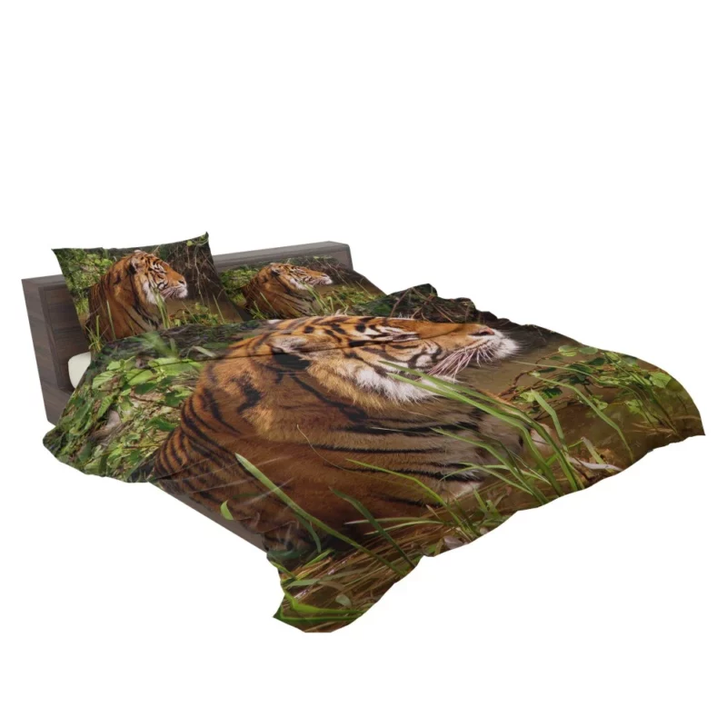 Tiger Striped Magnificence Bedding Set 2