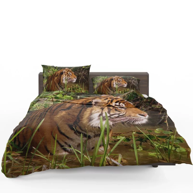 Tiger Striped Magnificence Bedding Set