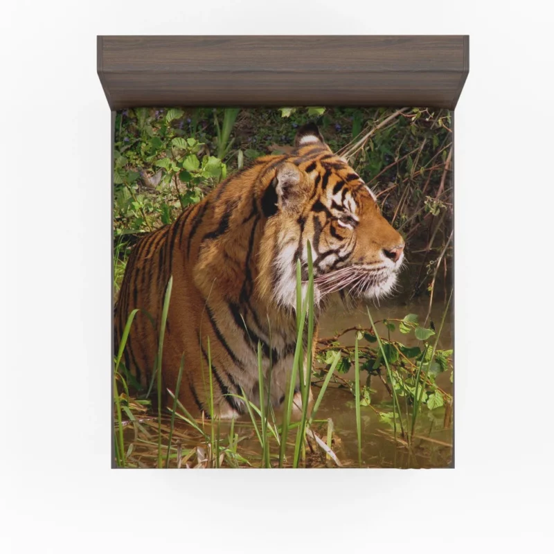 Tiger Striped Magnificence Fitted Sheet 1