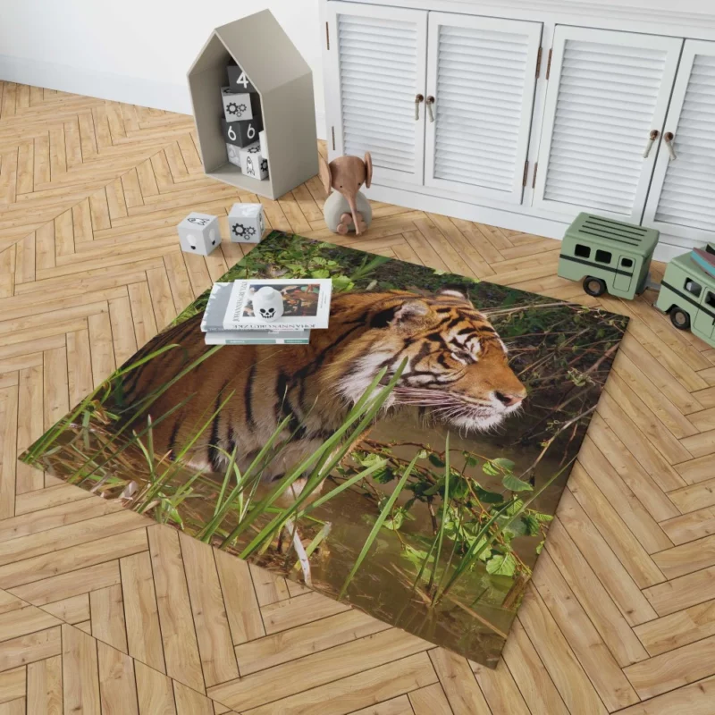 Tiger Striped Magnificence Rug 1