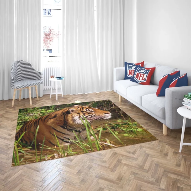 Tiger Striped Magnificence Rug 2