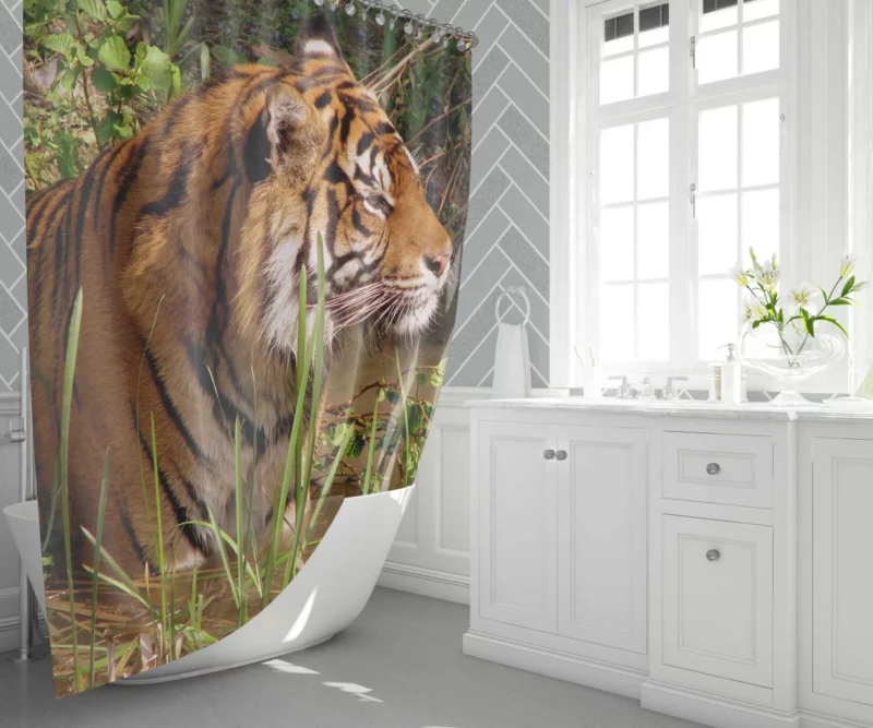 Tiger Striped Magnificence Shower Curtain 1