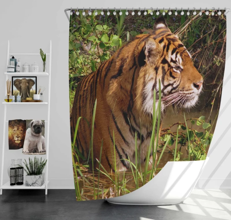 Tiger Striped Magnificence Shower Curtain