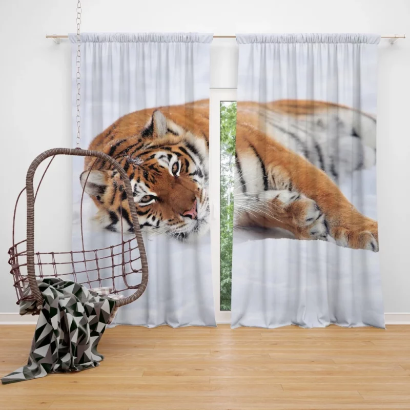 Tiger Unpredictable Curtain