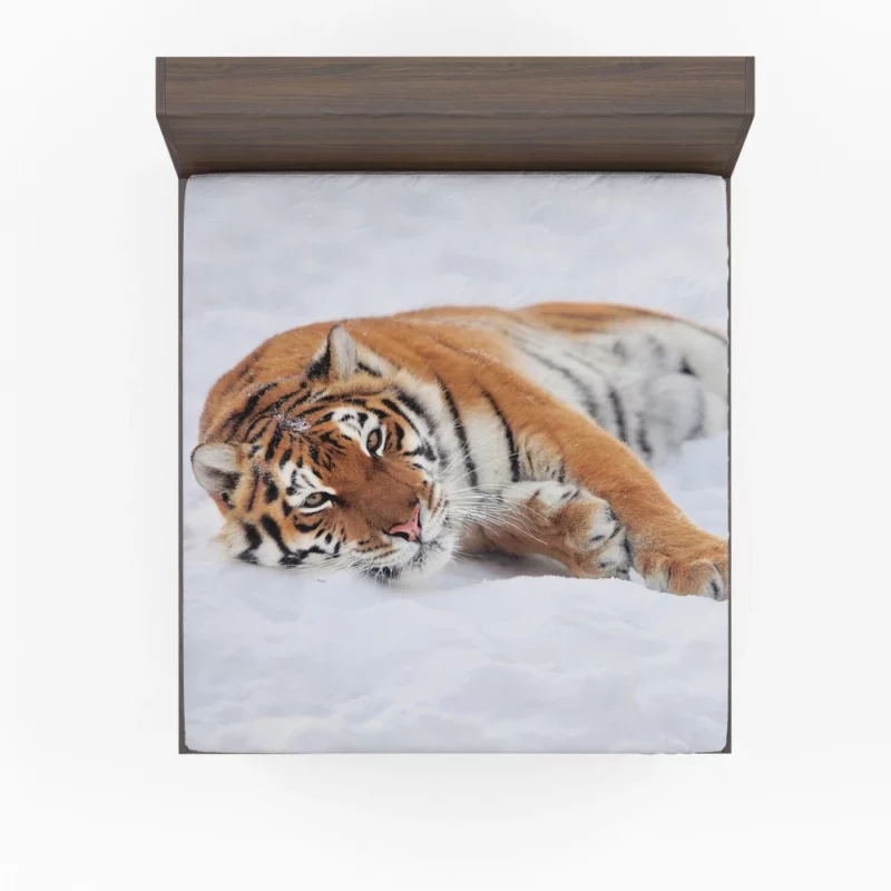 Tiger Unpredictable Fitted Sheet 1