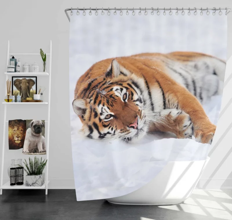 Tiger Unpredictable Shower Curtain