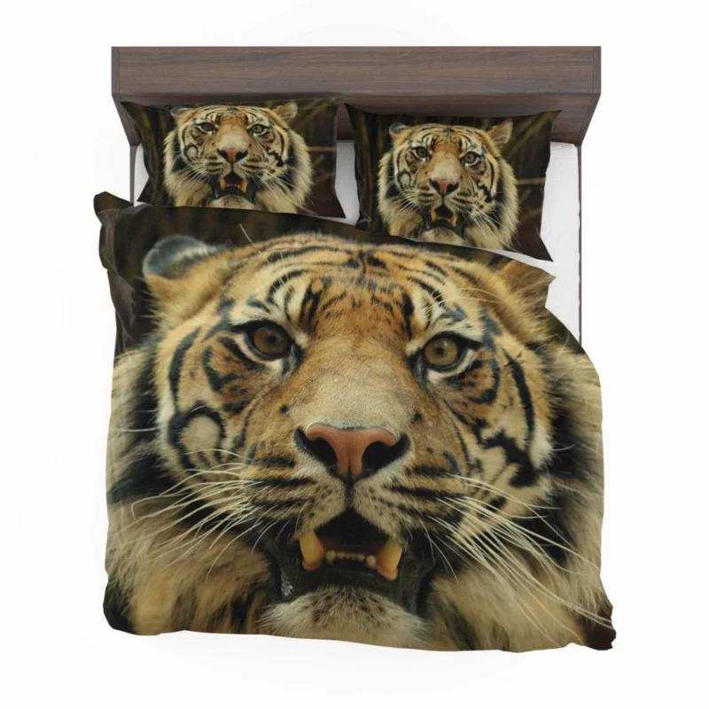 Tiger Untamed Majesty Bedding Set 1