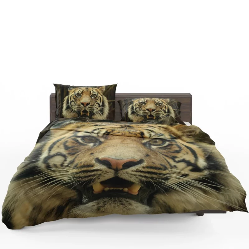 Tiger Untamed Majesty Bedding Set