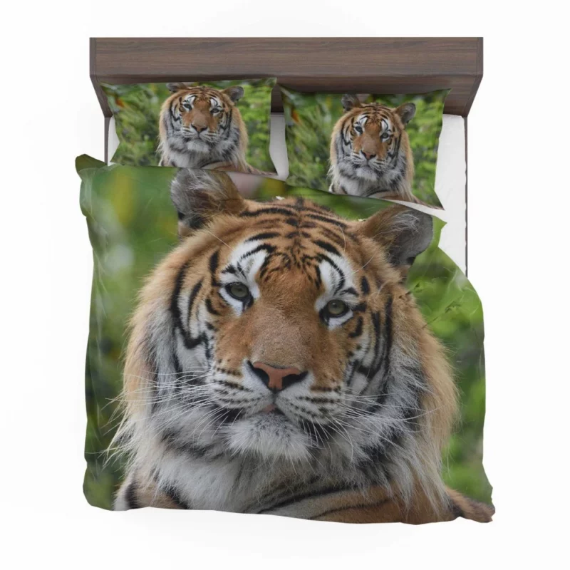 Tiger Untamed Majesty Fierce Wilderness Bedding Set 1