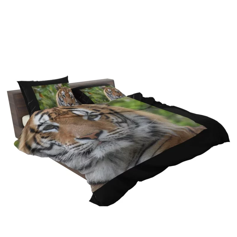 Tiger Untamed Majesty Fierce Wilderness Bedding Set 2