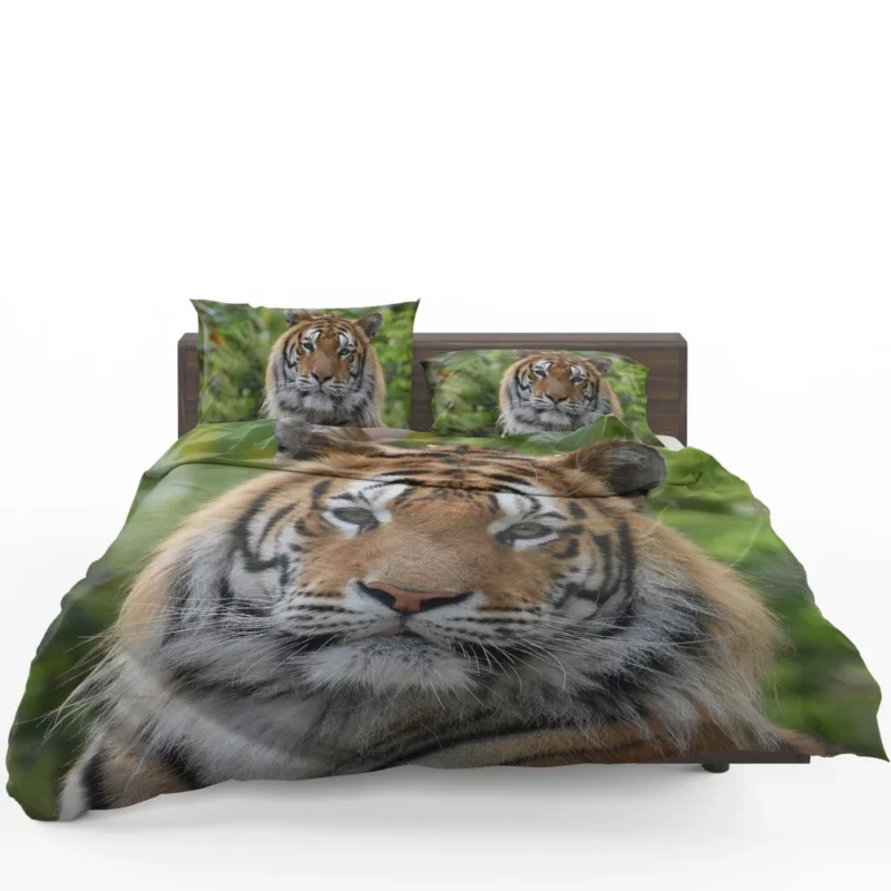 Tiger Untamed Majesty Fierce Wilderness Bedding Set