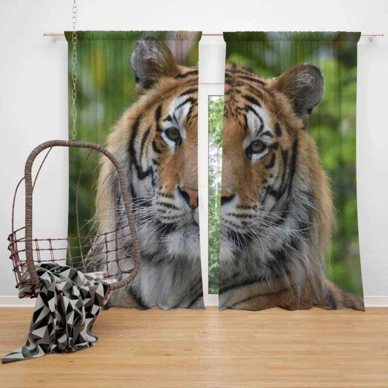 Tiger Untamed Majesty Fierce Wilderness Curtain