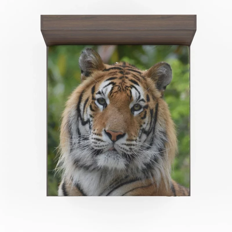 Tiger Untamed Majesty Fierce Wilderness Fitted Sheet 1