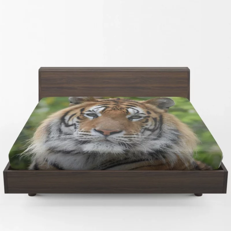 Tiger Untamed Majesty Fierce Wilderness Fitted Sheet