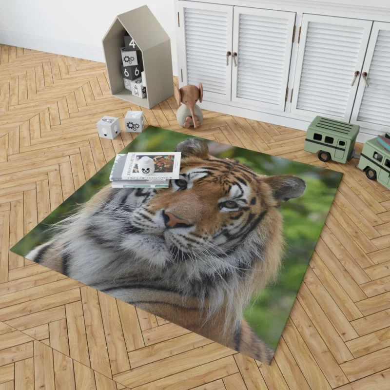 Tiger Untamed Majesty Fierce Wilderness Rug 1