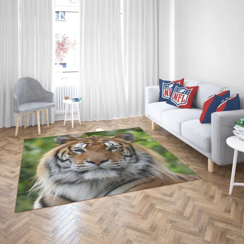 Tiger Untamed Majesty Fierce Wilderness Rug 2